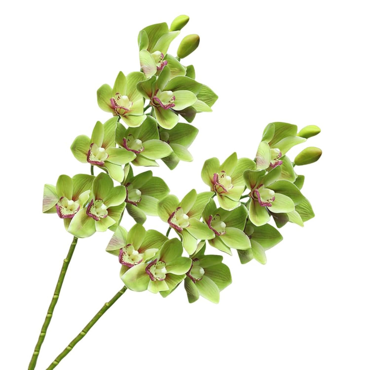 28.4" Artificial Phalaenopsis Flowers,Latex Phalaenopsis Branches,3D Faux Cymbidium Flowers 10 Large Petals Orchids For Home Décor (2, Green)