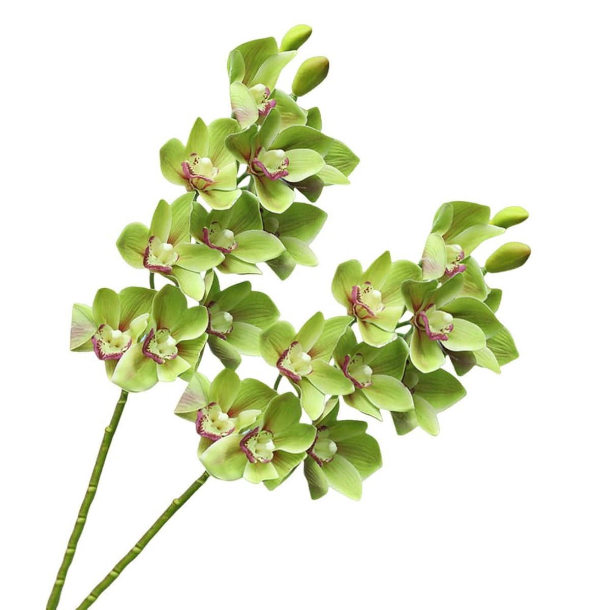 28.4" Artificial Phalaenopsis Flowers,Latex Phalaenopsis Branches,3D Faux Cymbidium Flowers 10 Large Petals Orchids For Home Décor (2, Green)