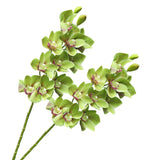 28.4" Artificial Phalaenopsis Flowers,Latex Phalaenopsis Branches,3D Faux Cymbidium Flowers 10 Large Petals Orchids For Home Décor (2, Green)