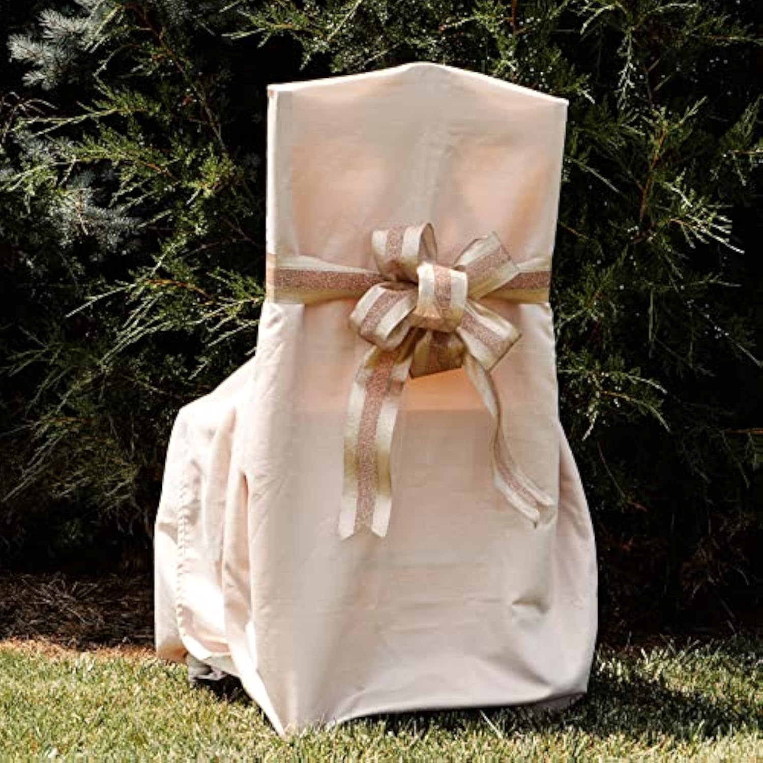 7724.60/20-430 Wired Dimensions 2.5" X 20 Yd Wired Ribbon, Blush/Gold,