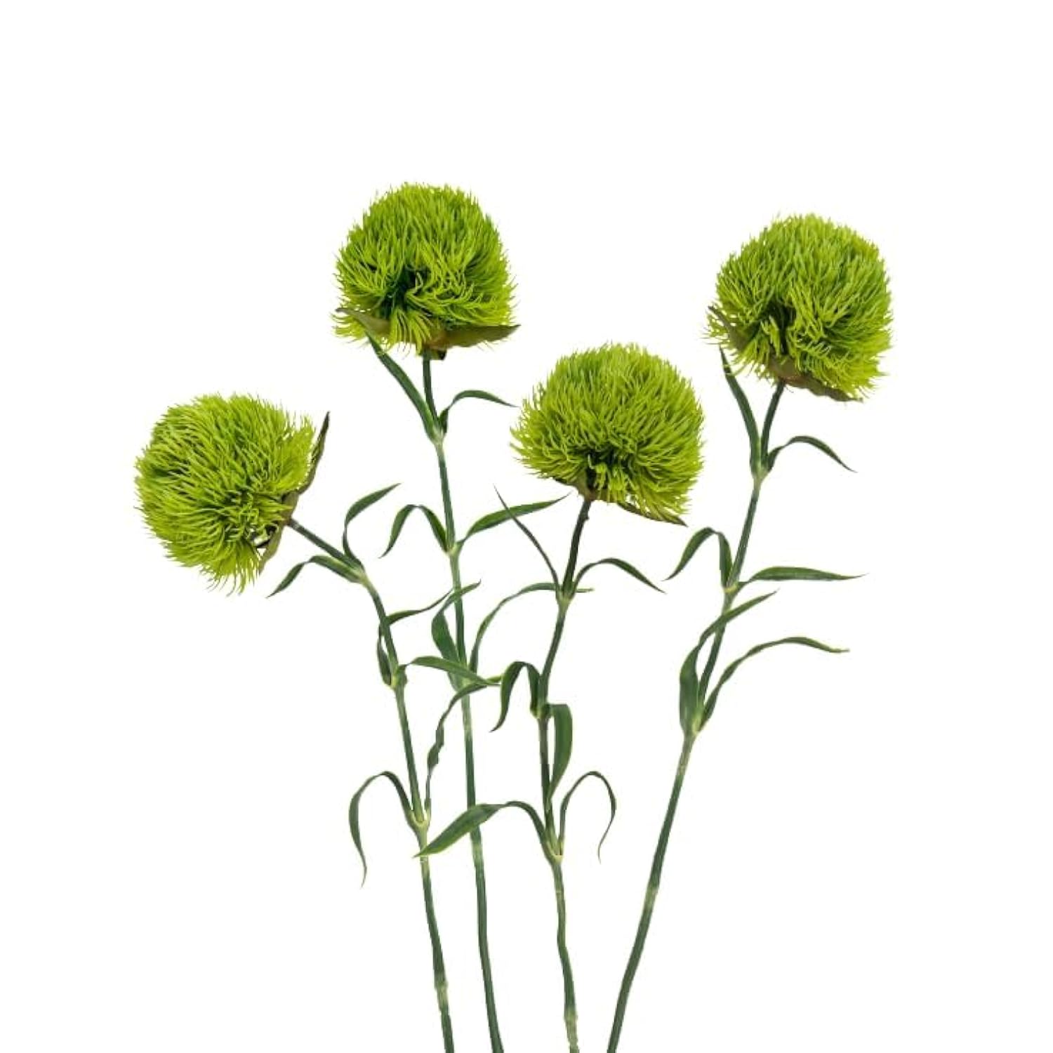 4Pcs Fake Dianthus Artificial Greenery Stem Realistic Green Tricks For Home Kitchen Wedding Courtyard Decoration(Light Green)