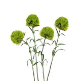 4Pcs Fake Dianthus Artificial Greenery Stem Realistic Green Tricks For Home Kitchen Wedding Courtyard Decoration(Light Green)