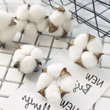 Cotton Stems 8 Packs With 15 Bolls, Natural Dried Flowers Cotton Sprigs For Vase Fillers And Floral Arrangements - Fall Decorations And Diy Crafts