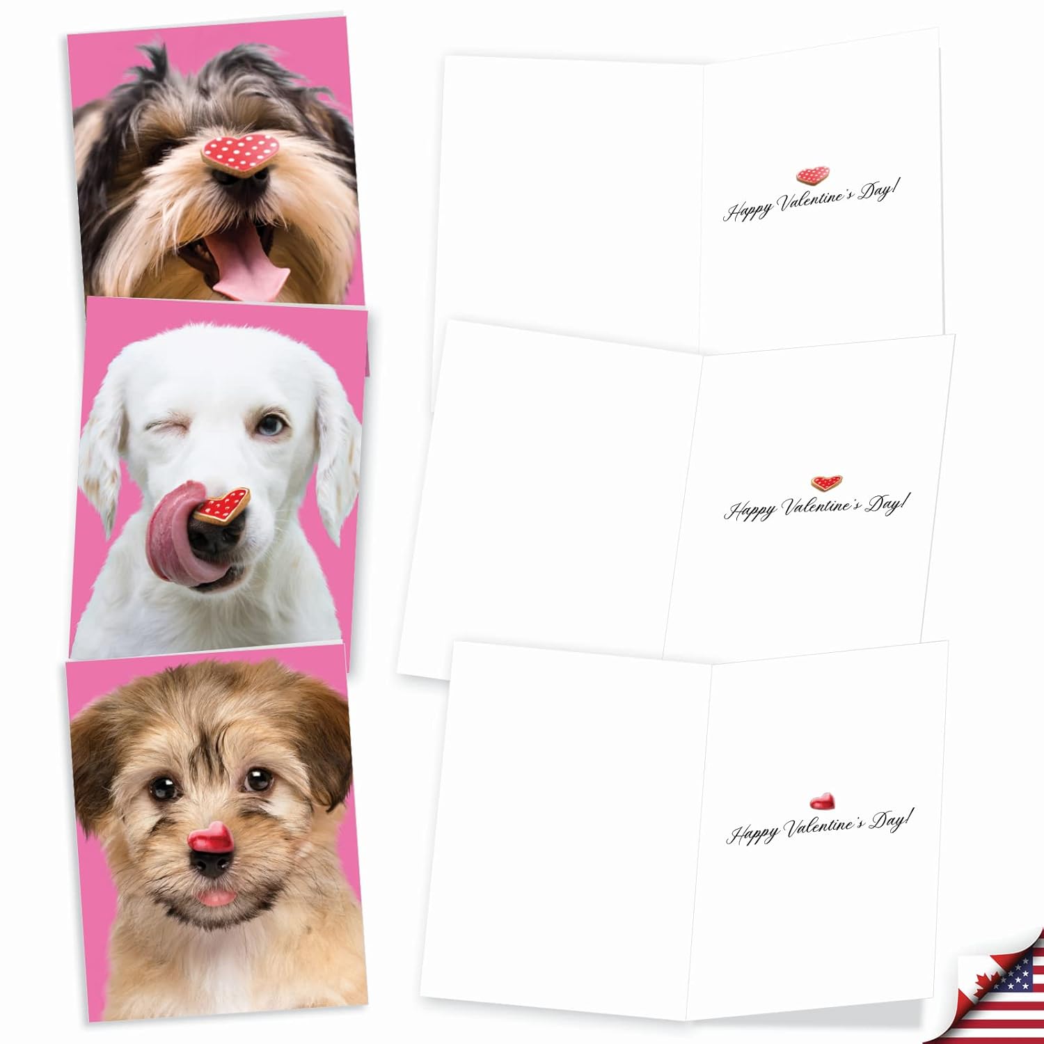 - 20 Assorted Boxed Valentine'S Day Note Cards With Envelopes (4 X 5.12 Inch) - Heart Dogs Am9161Vdg-B2X10
