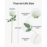 50 Pcs White Roses Artificial Flowers, Fake Velvet Silk Rose Bulk Faux Flower For Decoration Diy Wedding Centerpieces Proposal Bridal Bouquets Shower Party Home Floral Decor (50, White)