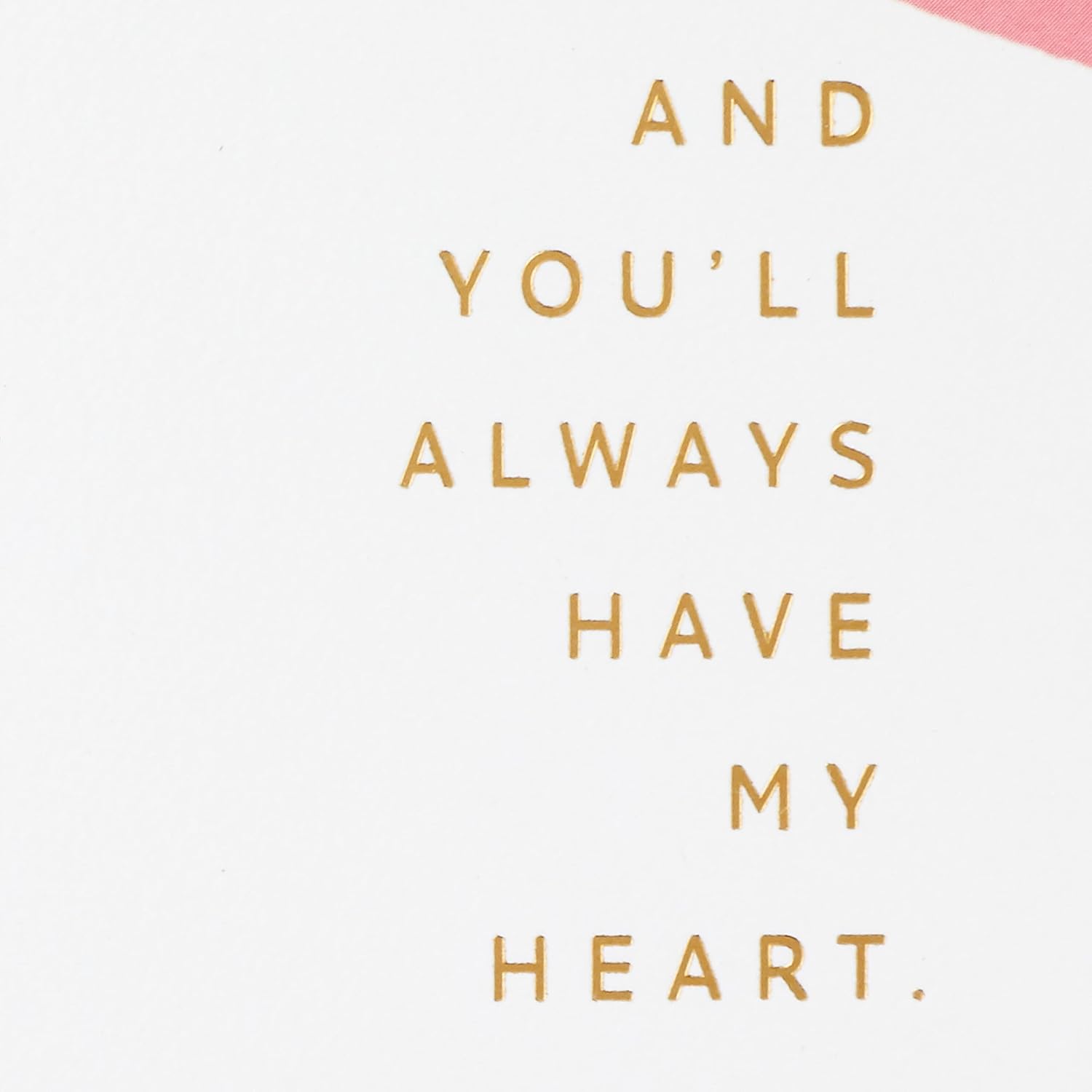 Hallmark Signature Mother's Day Card (Have My Back and My Heart) for Anniversary, Birthday for Her, Any Occasion