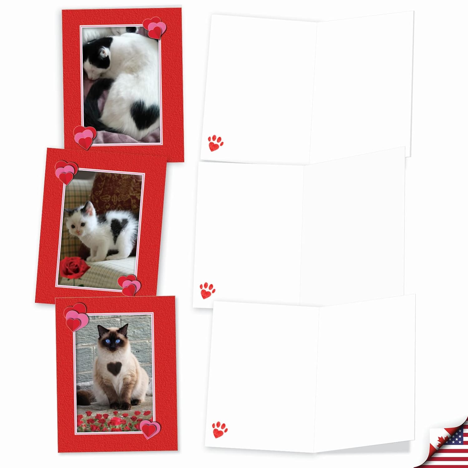 - 10 All Occasion Blank Cat Cards (4 X 5.12 Inch) - Cute Assorted Bulk Card Set - Heartfelt Cats M5658Ocb-B1X10