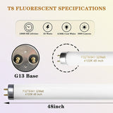 10 Pack F32T8 Fluorescent Tube Light Bulbs 4FT 32W 4100K Cool White G13 Base