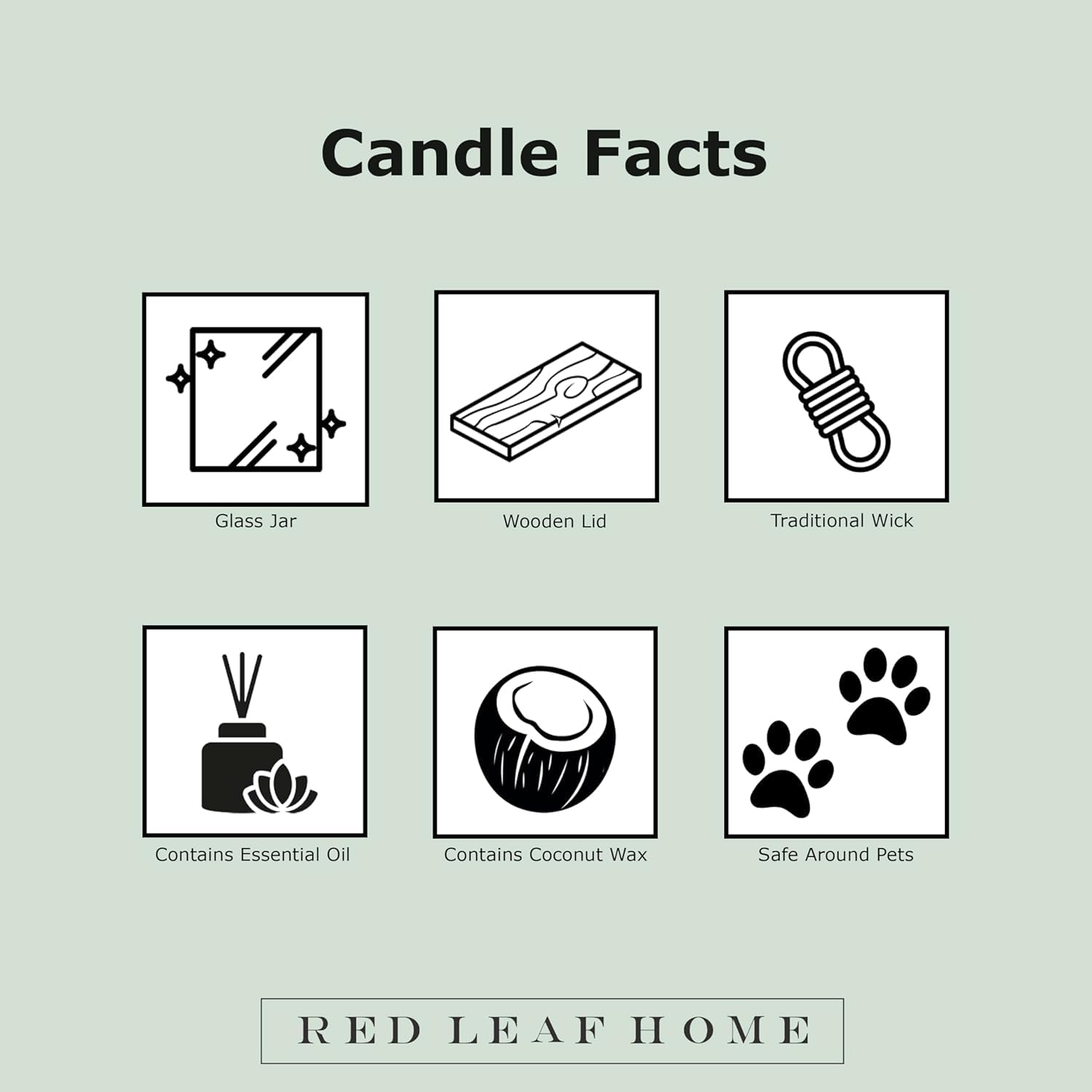 | Cat Dictionary, Jar Candle | Pet Collection, Large | Gift Idea | 15.5Oz
