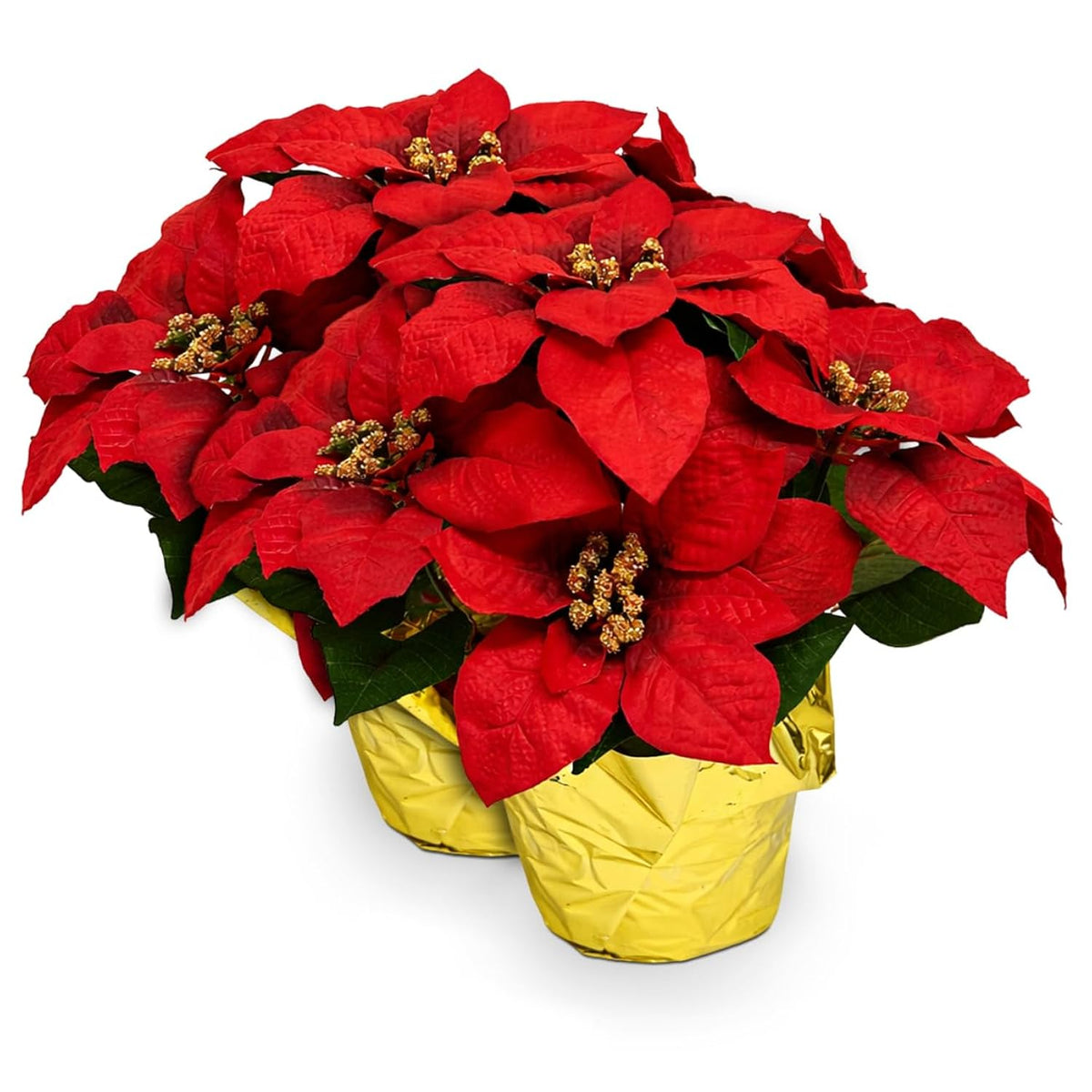 Creative Displays Large Premier Silk Poinsettia Plant Christmas Decorations, Amazingly Lifelike & Realistic, 17" X 15" (2 Pack)
