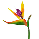 Artificial Flowers Bird Of Paradise Greenery Plants Indoor Outside Garland Home Garden Office Verandah Wedding Decorations 6Pcs (Yellow, 6 Pack)