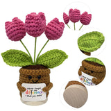 Handmade Crochet Tulips Flowers, Positive Crochet Flower Emotional Support Gift,Inspirational Appreciation Birthday Gifts For Women, Mom, Teacher, Coworker (Never Forget)