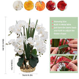 Artificial Orchid Flower Real Touch Faux Orchids In Ceramic Vase Large 22.9'' Fake Flowers White Phalaenopsis Floral For Home Indoor Decor