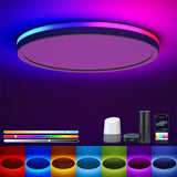 12 Inch Smart RGB LED Ceiling Light WiFi Alexa Google Flush Mount Fixture