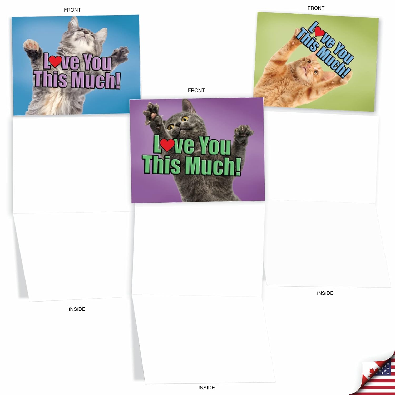 - 10 All Occasion Blank Cat Cards (4 X 5.12 Inch) - Cute Assorted Bulk Card Set - Cat Love You This Much M6610Ocb