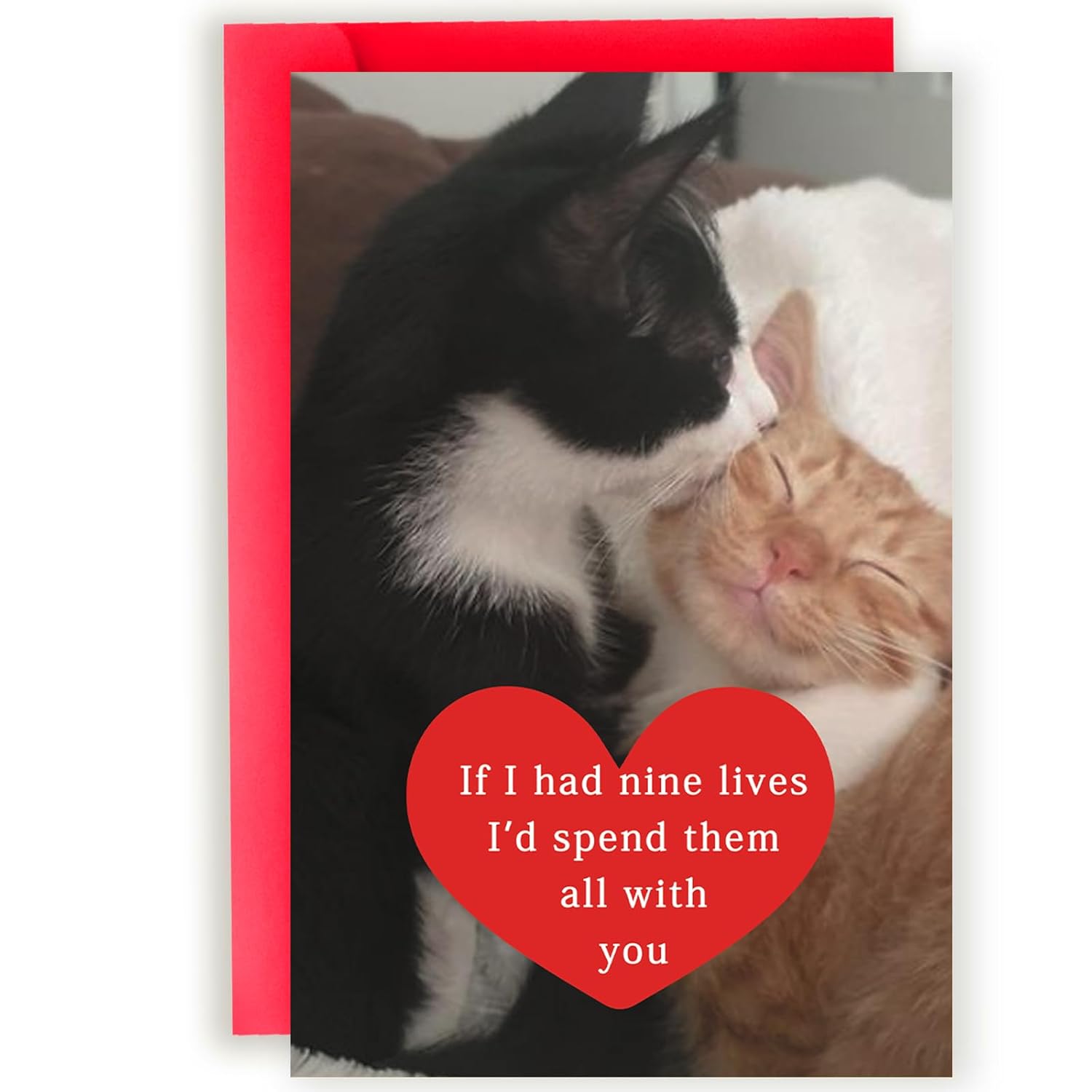 Funny Cat Valentines Day Gifts For Him Her, Birthday Card For Men Women, Sweet Anniversary Cards Cat Lovers