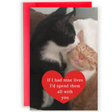 Funny Cat Valentines Day Gifts For Him Her, Birthday Card For Men Women, Sweet Anniversary Cards Cat Lovers
