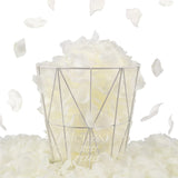 1000 Pcs Rose Petals, Artificial Flower Petals, For Romantic Night, Wedding, Event, Party, Valentine Decor (1000 Pcs, Ivory)