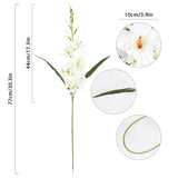 White Gladiolus Artificial Flowers 10 Pcs 30.3 In Gladiolus Flowers Silk Flowers Long Stem Flowers For Home Wedding Office Decoration(White)