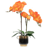 Orchids Artificial Flowers Real Touch Fake Flowers In Ceramic Pot 20" Orange Faux Orchid Plant Lifelike Silk Phalaenopsis For Centerpiece Hotel Home Indoor Decor