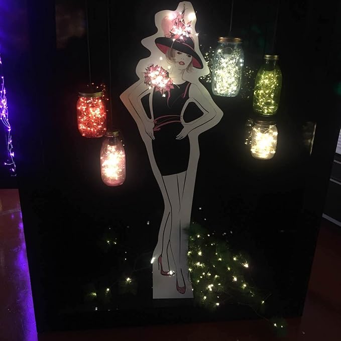 2 Pack Battery Operated Mini LED Fairy Lights 18FT 50 LED Warm White String Lights with Timer Silver Wire for Wedding Party Bedroom Decor