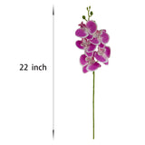 6 Purple Orchid Artificial Flowers Real Touch, 23'' Artificial Faux Realistic Latex Orchid Stem Bouquets, Fake Phalaenopsis Flower For Wedding Home Arrangement Décor (6, Rose Red + White Edge)