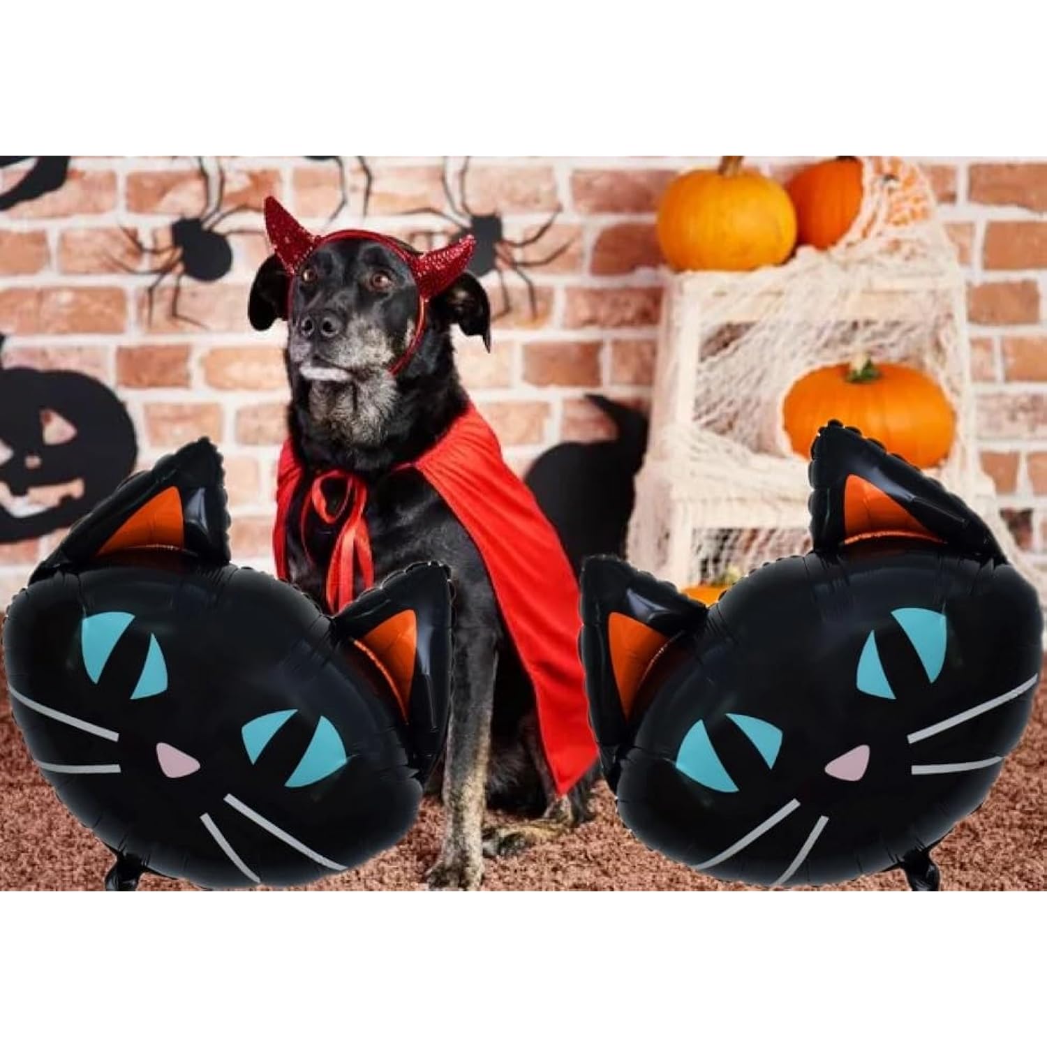 6Pc 25.6" Black Cat Halloween Foil Balloons – Party & Birthday Decorations