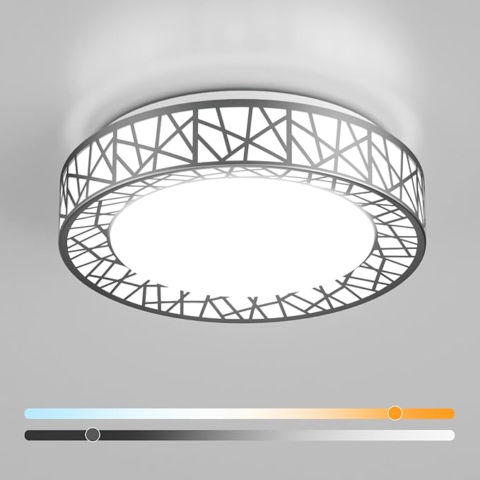 12 Inch Brushed Nickel LED Ceiling Light 20W Dimmable Flush Mount Fixture