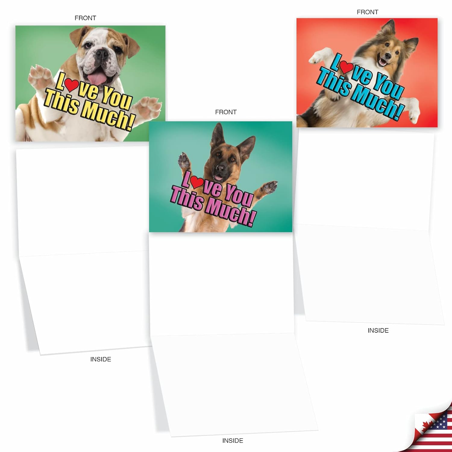 - 10 Blank Dog Cards Assorted (4 X 5.12 Inch) - Adorable Boxed Animal Note Cards For All Occasions - Dog Love You This Much M6611Ocb