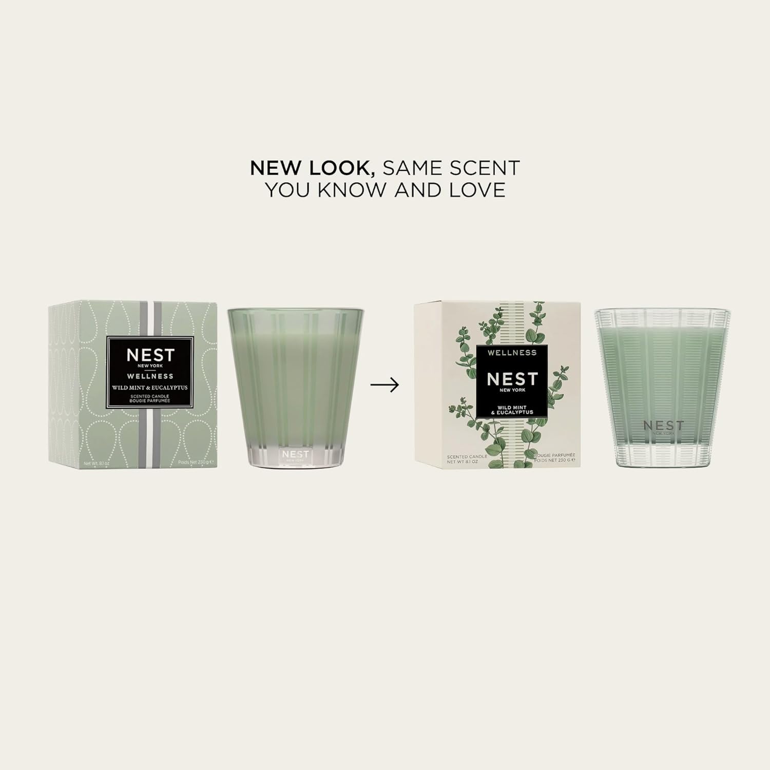 Scented Classic Candle, Wild Mint & Eucalyptus - 8.1 Oz - Up To 60-Hour Burn Time - Reusable Glass Vessel