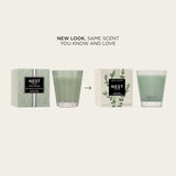 Scented Classic Candle, Wild Mint & Eucalyptus - 8.1 Oz - Up To 60-Hour Burn Time - Reusable Glass Vessel
