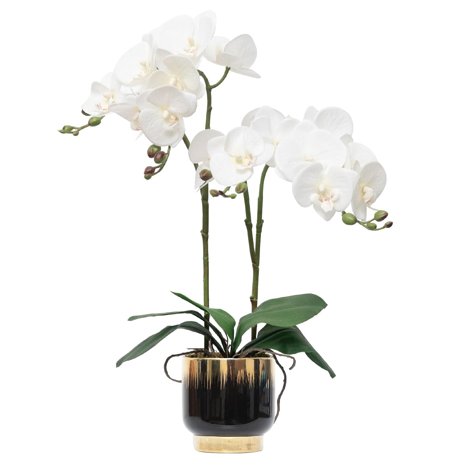 Orchids Artificial Flowers Real Touch Fake Flowers In Ceramic Pot 20" White Faux Orchid Plant Lifelike Silk Phalaenopsis For Centerpiece Hotel Home Indoor Decor