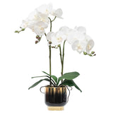 Orchids Artificial Flowers Real Touch Fake Flowers In Ceramic Pot 20" White Faux Orchid Plant Lifelike Silk Phalaenopsis For Centerpiece Hotel Home Indoor Decor
