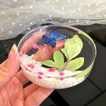 8 Pack Deep Coaster Molds, Square Round Coaster Resin Molds, Small Coaster Silicone Molds For Resin Casting, For Flower Bouquet Preservation