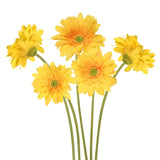 Yellow Gerbera Daisy Artificial Flowers – Real Touch Latex Silk Daisy Flowers 5Pcs, 26.7" Long Stem Artificial Flowers For Summer Centerpieces, Home Decor Indoor, Or Fake Wildflower Displays