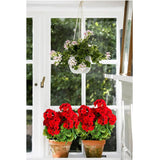 8 Bunches Artificial Geranium Silk Flower Bush Red 19 Inches Faux Geranium Flowers Plant For Outdoor Planter Home Patio Garden Decoration