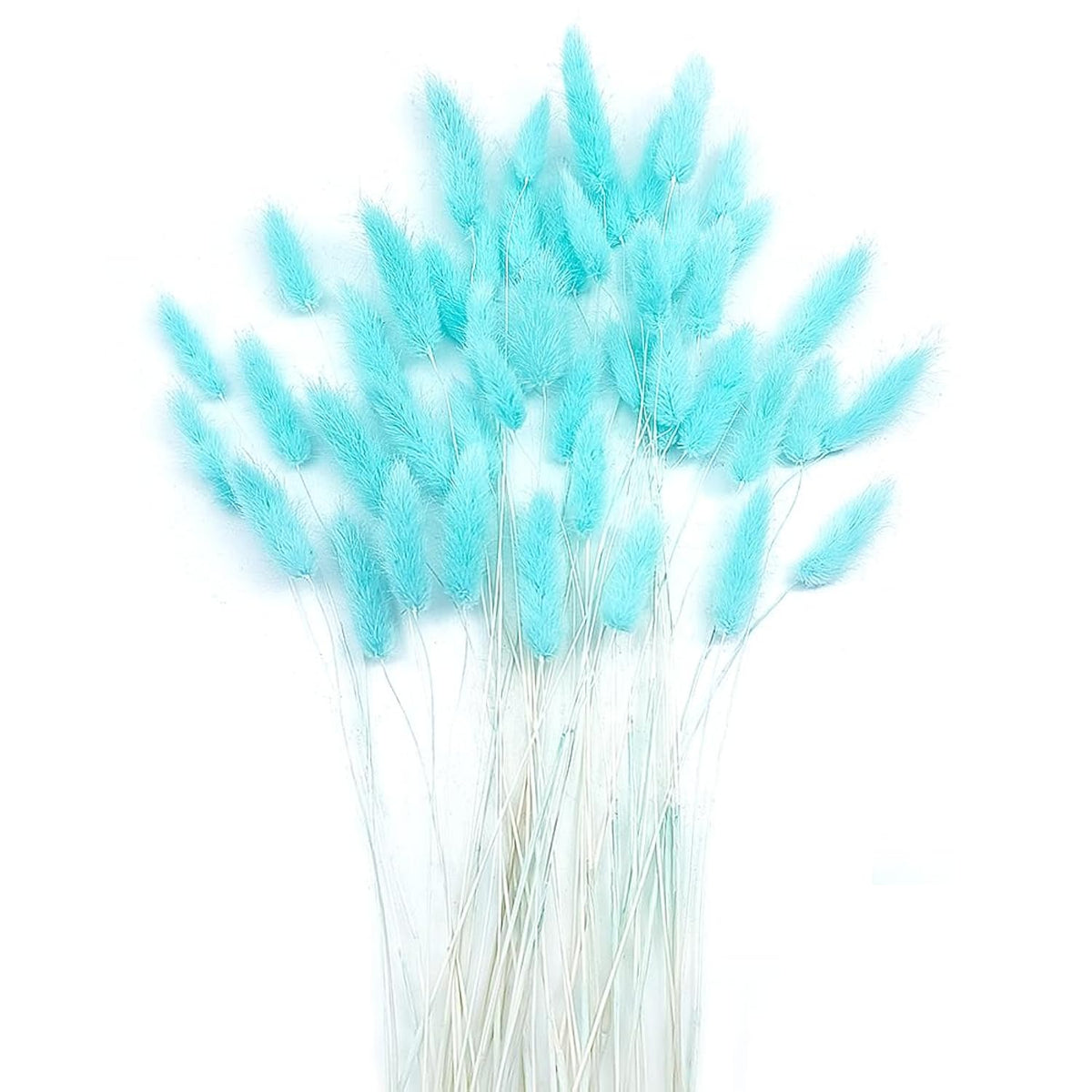Turquoise Bunny Tails Dried Flowers 120Pcs, 17 Inch Dried Lagurus Ovatus Rabbit Tail Grass Bunch For Floral Arrangement, Party, Boho Home Decor And Diy Crafts