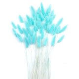 Turquoise Bunny Tails Dried Flowers 120Pcs, 17 Inch Dried Lagurus Ovatus Rabbit Tail Grass Bunch For Floral Arrangement, Party, Boho Home Decor And Diy Crafts