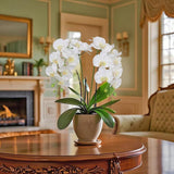 2Pcs Real Touch Orchids Stems Artificial Flowers Fake Phalaenopsis Orchid For Table Centerpiece Home Kitchen Wedding Party Decoration … (White)