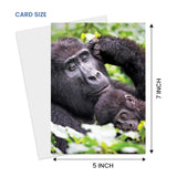 Endearing Gorilla Cradling Her Adorable Baby Greeting Card -Larger 5X7 Inch - Blank Inside - Unique Heartwarming Photography For Birthday, Mother’S Day, Thinking Of You Card For Ape, Nature & Animal Lovers