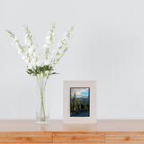 4Pcs 33.5'' White Delphinium Artificial Flower Faux Larkspur Long Stem Fake Floral Silk Bouquets Plant For Tall Floor Vase Spring Home Kitchen Wedding Outdoor Indoor Decoration