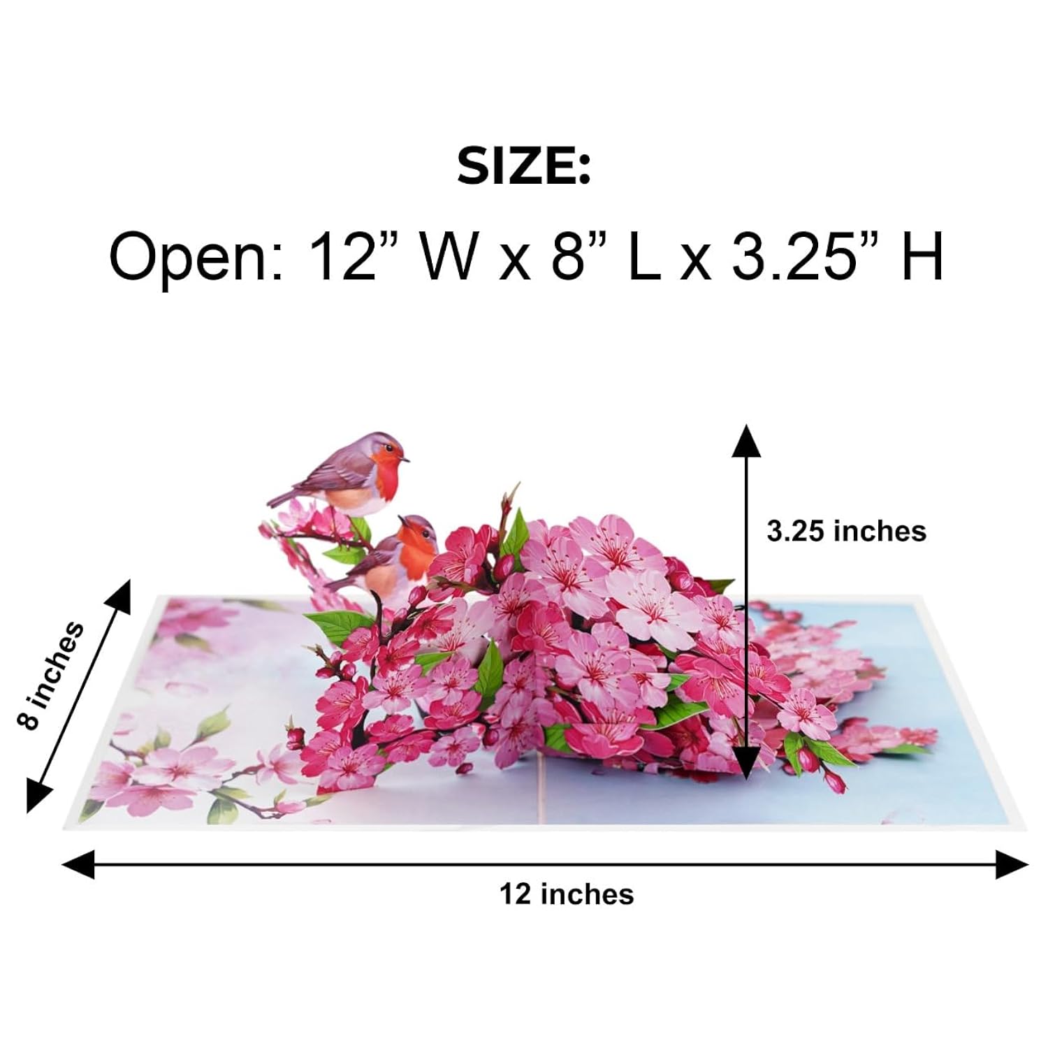 Cherry Blossom 3D Pop-Up Card – 6" X 8" Nature-Inspired Greeting With Robins And Pink Flowers – With Notecard – Ideal For Mother’S Day Thinking Of You Birthday And Love Occasions