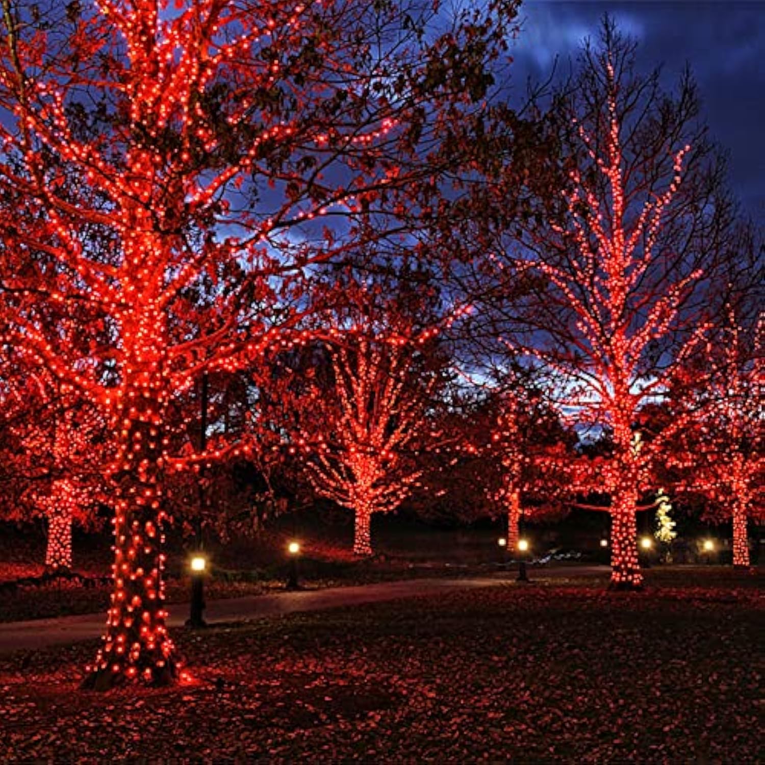Red Christmas Lights Indoor Outdoor, 33 Ft 150 Count Incandescent Mini String, 120V Ul Certified Green Wire For Xmas Tre