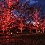 Red Christmas Lights Indoor Outdoor, 33 Ft 150 Count Incandescent Mini String, 120V Ul Certified Green Wire For Xmas Tre