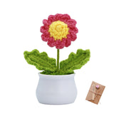 Cute Knitting Crochet Daisies Flowers Potted Plant For Desk Decor, Mini Artificial Handmade Red Daisies With Emotional Support Positive Card, Gift For Women, Birthday, Christmas, Party