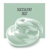 FolkArt Paint, Succulent 2 Fl Oz