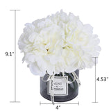 Artificial Hydrangea And Glass Vase Decoration, Ins Style Artificial Flower Glass Bottle Set