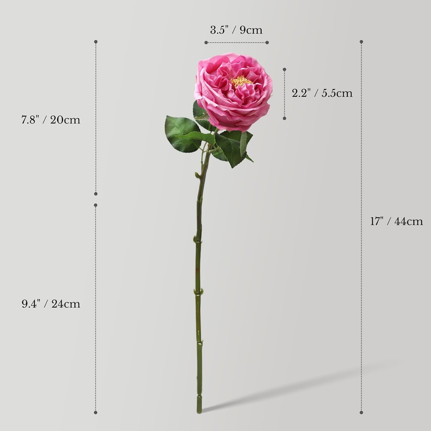 Real Touch Artificial Austin Roses, 6 Faux Rose Stems + 6 Eucalyptus Leaves, Gift Box Packaging, Realistic Fake Flowers For Home, Kitchen, Office, Or Wedding Décor, Allergy-Free Floral Gift Set