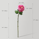 Real Touch Artificial Austin Roses, 6 Faux Rose Stems + 6 Eucalyptus Leaves, Gift Box Packaging, Realistic Fake Flowers For Home, Kitchen, Office, Or Wedding Décor, Allergy-Free Floral Gift Set