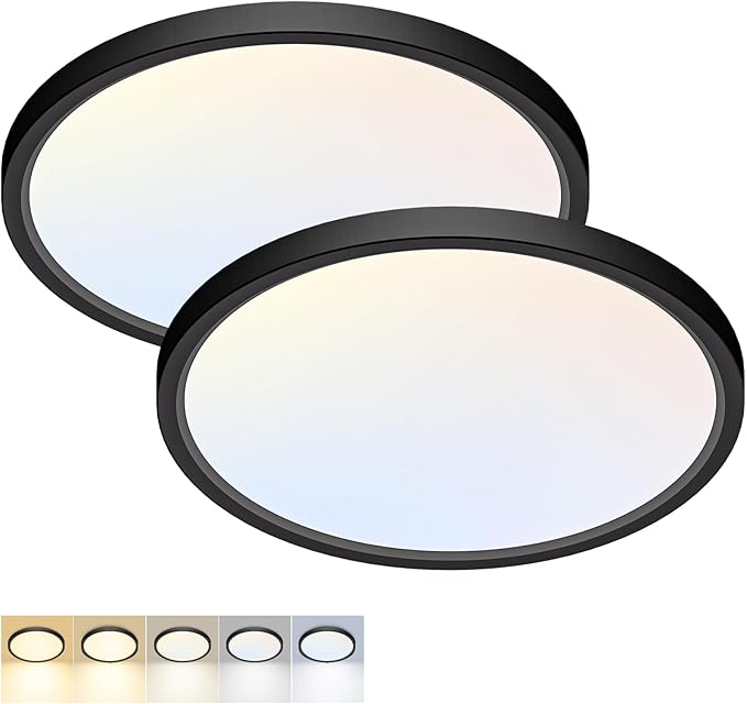 2 Pack 12 Inch Black LED Ceiling Lights 24W 5CCT Flush Mount Fixtures